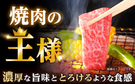 【12回定期便】焼肉 上 カルビ 500g / 長崎和牛 A5ランク キャンプ BBQ バーベキュー / 諫早市 / 野中精肉店 [AHCW054]