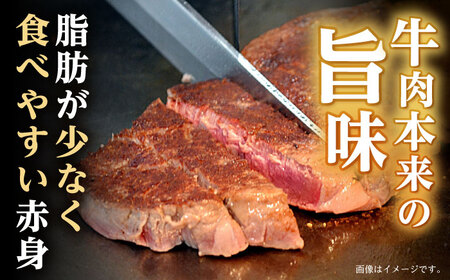 【お中元対応可】【程よい霜降り！】長崎和牛 A5 モモステーキ 1.2kg(150g×8枚) / 和牛 牛肉 肉 モモ もも ステーキ すてーき 赤身 / 諫早市 / 野中精肉店 [AHCW070]