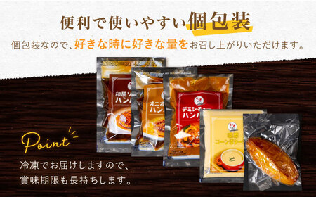 【定期便】 ハンバーグ ぎゅう丸フルコースセット NCQ118 ハンバーグ 全12回