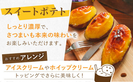 【定期便】 ハンバーグ&スイートポテトセット NCQ119 ハンバーグ スイートポテト全3回