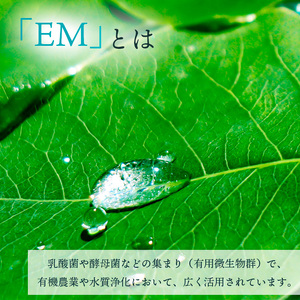 EM石けん ＆ EMボカシ セット ＜ 福祉事業所 ポパイの家 ＞ ／ 石鹸 せっけん 石けん 洗濯 洗濯用石けん EM石鹸 EMせっけん EM石けん EMぼかし EM製品 農業 堆肥 お洗濯 生ごみ 生ゴミ 肥料 畑 追肥 元肥 野菜 家庭菜園 ガーデニング