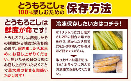 【2026年出荷】 北海道 名寄産 スイートコーン イエロー L～2Lサイズ 22本 《2026年8月中旬-9月中旬頃出荷予定》 