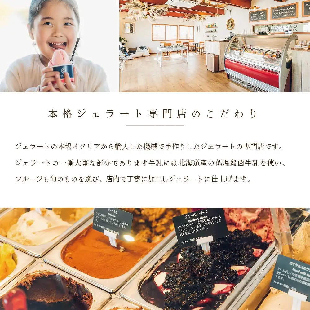 贅沢素材・ジェラート 別海町クリームチーズとブルーベリー　8個セット(EK0000012)