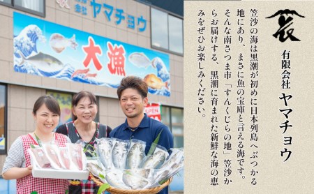 ◆お申込みの翌月にお届け◆【漁師厳選】朝獲れ鮮魚のお刺身詰め合わせ（4種） 魚 冷蔵 刺身 鮮魚 ヤマチョウ 鹿児島県産 海鮮 直送 セット 詰め合わせ ヤマチョウ 南さつま市