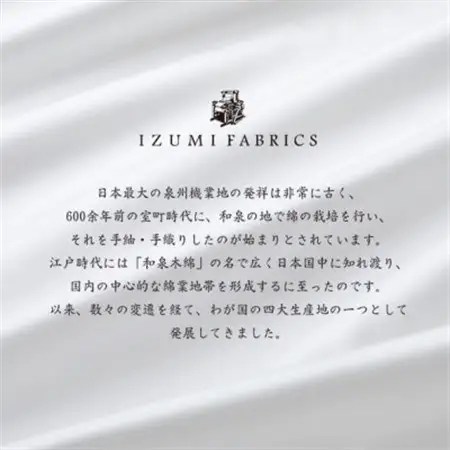 (43×63cm)ポーランド産マザーグースダウンピロー(羽毛枕)95%＆ピローケース:ピュアホワイト【1501398】