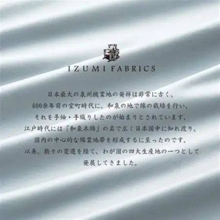 (50×90cm)ポーランド産マザーグースダウンピロー(羽毛枕)95%＆ピローケース:フォグブルー【1501408】