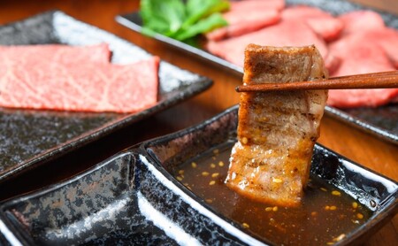 訳あり A4～A5 博多和牛 焼肉 切り落とし ( 肩ロース・バラ ) 500g 訳アリ 肉 牛肉 やきにく ※配送不可：離島 