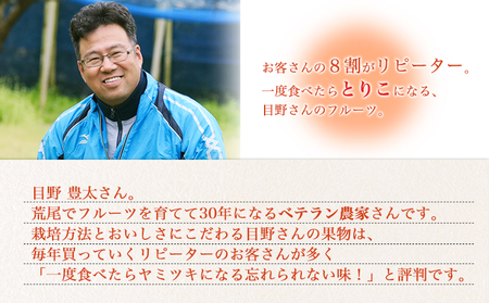 【先行予約】 訳あり 梨 荒尾梨 約 4.5kg ～ 5kg (6～18玉前後) 秋 旬 目野果実直売所《7月下旬-10月上旬頃出荷》熊本県 荒尾市産 なし フルーツ 果物 新鮮 愛甘水 幸水 秋麗 豊水 あきづき のいずれか 品種の指定不可 ご家庭用 美味しい梨 旬の梨 ジューシー梨 フルーツ梨