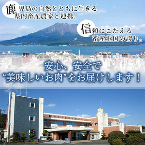 【数量限定】鹿児島茶美豚スライスセット計1.2kg! 国産 鹿児島産 豚 豚肉 豚バラ バラ ロース 肩ロース スライスしゃぶしゃぶ しょうが焼き 肉巻き 炒め物小分け 冷凍 おかず 国産豚 肉 精肉 食品 料理 a5-275