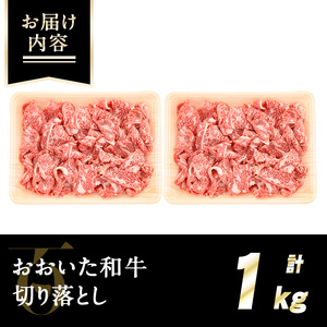 おおいた和牛切り落とし(計1kg・500g×2P) 牛肉 お肉 ウデ モモ バラ 切り落とし 切り落し 切落し こま切れ すき焼き 肉じゃが おおいた和牛 和牛 霜降り【110201002】【吉野】