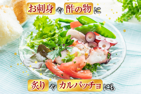 【北海道根室産】たこ足ブロック7～11P(計2kg前後～2.5kg前後) C-30077