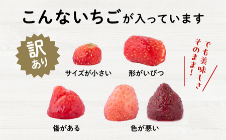 《 訳あり 》 冷凍いちご 大容量 規格外 不揃い 完熟 国産 採れたて 2kg 2袋 真空 個包装 バラ冷凍 ヘタなし 葉なし 冷凍 選べる いちご 苺 人気 送料無料【フルーツパークDETO】