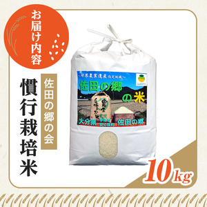 ＜令和7年産＞佐田の郷の米 慣行栽培米(10kg) お米 白米 ごはん ヒノヒカリ ひのひかり ブランド米 常温 常温保存【111700204】【雅設置プロジェクト　佐田の郷の会】