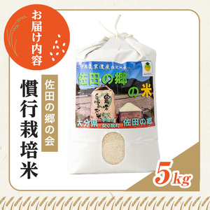 ＜令和7年産＞佐田の郷の米 慣行栽培米(5kg) お米 白米 ごはん ヒノヒカリ ひのひかり ブランド米 常温 常温保存【111700104】【雅設置プロジェクト　佐田の郷の会】