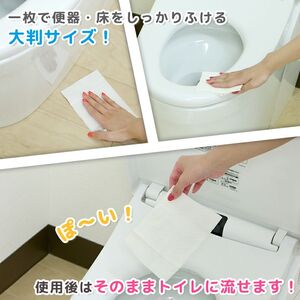 GN超厚流せるトイレクリーナー大判(12枚×2パック)×20袋×3か月