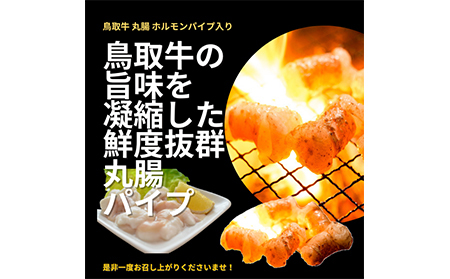 鳥取県産　焼肉セット 2.4ｋｇ (６?１０人前） ホルモン 丸腸 牛肉 豚肉 鶏肉 バーベキュー 鳥取産 BBQ ファミリーセット_T2600254