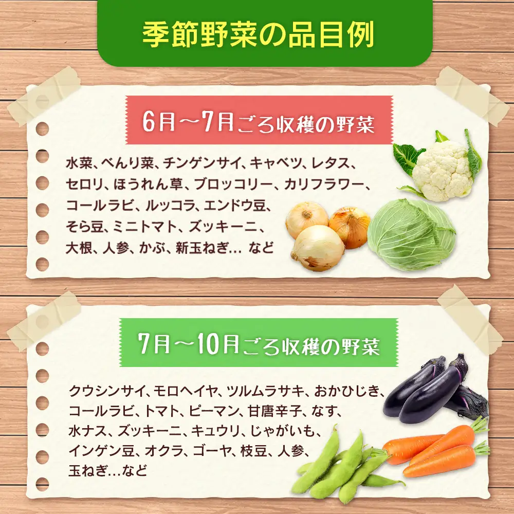 野菜セット 詰め合わせ まるみど農園の季節のお野菜便 農薬使わずに育ててます 9種類 旬 農家直送 国産 送料無料_MA105_001