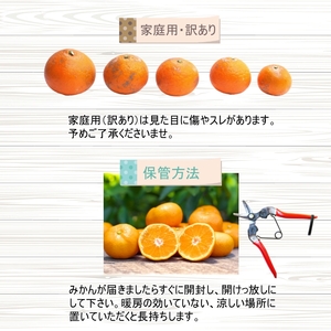 はるみ 2kg 家庭用 / 訳あり 甘い 和歌山 柑橘 ※2027年2月中旬〜3月下旬に順次発送 【krw013-c-2】
