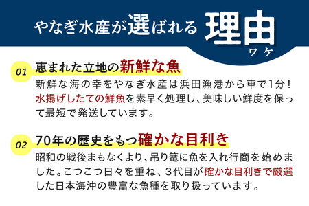 この男に任せてみませんか～浜田の旨い鮮魚直送便（下処理なし）～ 海鮮 鮮魚 詰め合わせ セット おまかせ 旬 直送便 人気 お取り寄せ 【006_2048】