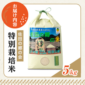 ＜令和7年産＞佐田の郷の米 特別栽培米(5kg)お米 白米 ごはん ヒノヒカリ ひのひかり ブランド米 常温 常温保存【111700704】【雅設置プロジェクト　佐田の郷の会】
