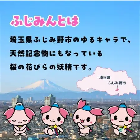 ふじみんオリジナルセットA(ぬいぐるみ小、タオル大、ストラップ)【1511396】