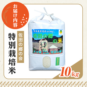 ＜令和7年産＞佐田の郷の米 特別栽培米(10kg)お米 白米 ごはん ヒノヒカリ ひのひかり ブランド米 常温 常温保存【111700804】【雅設置プロジェクト　佐田の郷の会】