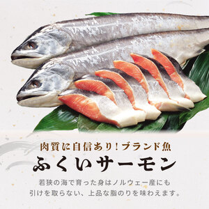 海鮮丼の素 ふくいサーモン×Sio麹アボガド 5食セット [069-a023]