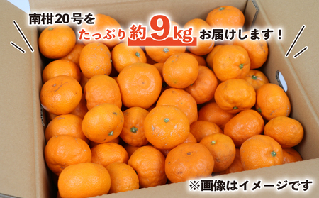 訳あり 南柑20号 9kg 河野農園 温州みかん みかん 人気のみかん 美味しいみかん 濃厚みかん 温州蜜柑 愛媛みかん 愛媛蜜柑 愛媛ミカン 蜜柑 mikan 温州 柑橘 果物 くだもの 訳アリ 訳あり品 訳有り わけあり フルーツ 産地直送 数量限定 先行予約 国産 愛媛 宇和島 B010-147004