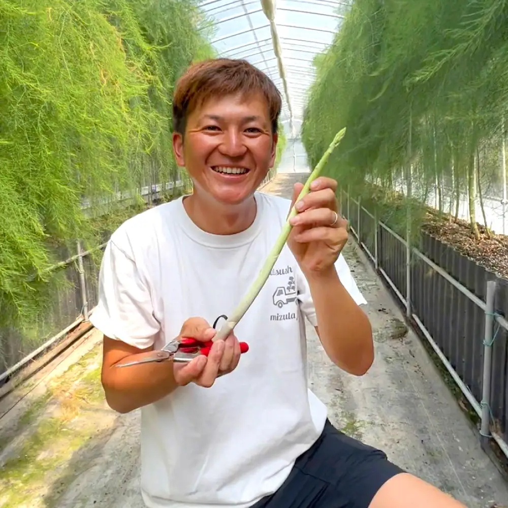 熊本県 八代市産 アスパラガス 1kg 新鮮 アスパラ 野菜 やさい 旬