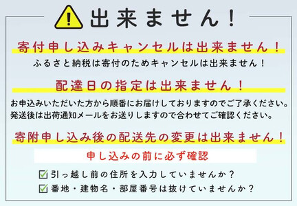 【先行予約】希少！北海道森町産じゃがいも「北海黄金ほっかいこがね」LM～L玉 約10kg（2026年9月より順次発送） mr1-1341