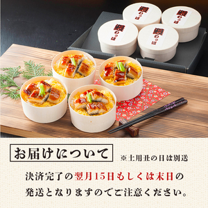  国産うなぎわっぱ飯 130g×4個 鰻ごはん 鰻丼