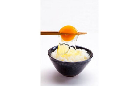 33-D 【6か月定期便】会津地鶏の卵 生卵 30個、会津地鶏のくん製玉子 8個セット ※沖縄・離島への配送不可