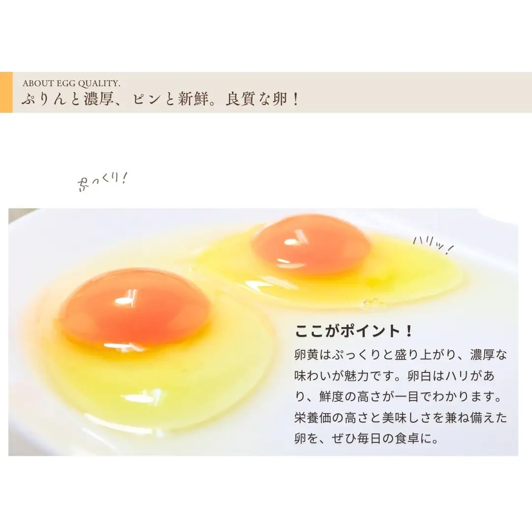 甘くてコクがある こだわり卵 30個|卵