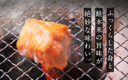 訳あり 銀鮭 切身 甘口 (不揃い) 約1kg 鮭 冷凍 ss00006