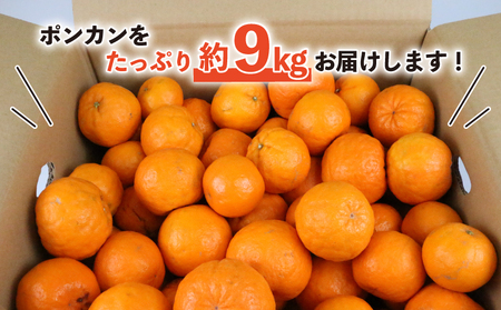 訳ありﾎﾟﾝｶﾝ 9kg 河野農園 みかんﾎﾟﾝｶﾝﾎﾟﾝｶﾝﾎﾟﾝｶﾝﾎﾟﾝｶﾝﾎﾟﾝｶﾝ B010-147005