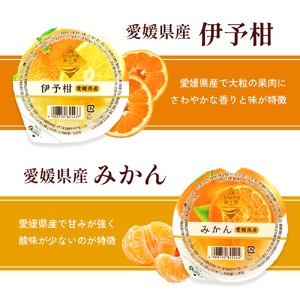 NO.12まるごと果樹園詰合せ 