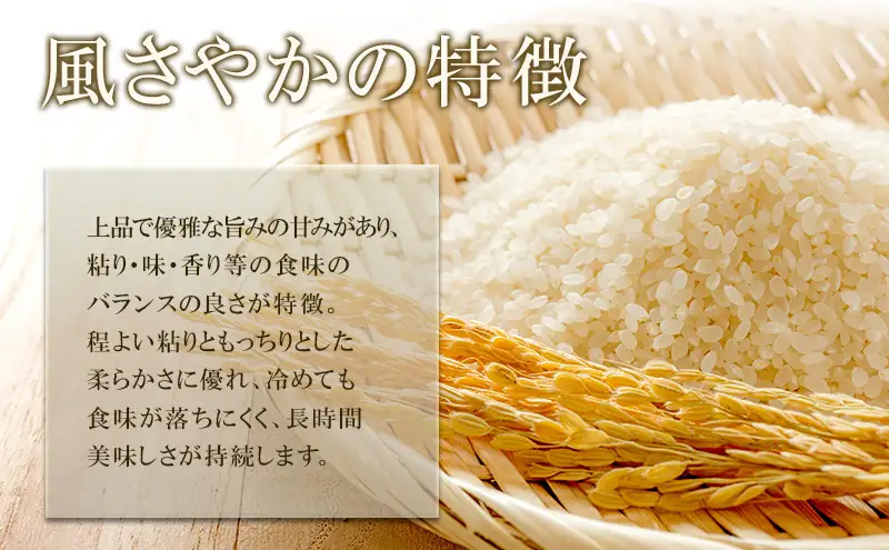 米 令和7年産 長野 風さやか 5kg お米 こめ コメ おこめ 白米 精米 5キロ オリジナル オリジナル米 ブランド米 かぜさやか 信州 長野県 上田市 上田