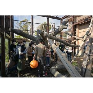 周南市徳山動物園サポーター会員入会券（1名様分）