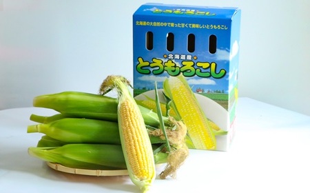 【先行予約受付中！】北海道浦河産 朝もぎとうもろこし「おおもの」10本入[24-1393]
