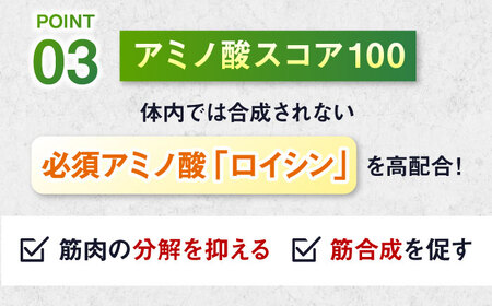 プロテイン 【アルプロン】 IZMO BULK UP WHEY PROTEIN MAX ストロベリー 900g ホエイプロテイン [AIAL019]