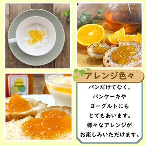 季節の ジャム 詰め合わせ 3種 セット 160g×3本 ジャム