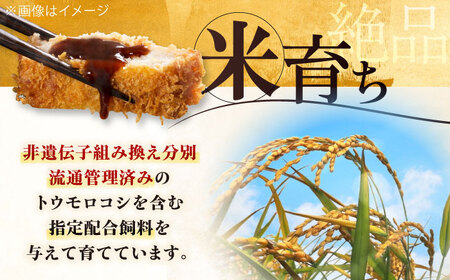 【全12回定期便】平田牧場 ロース ステーキ 800g  (100g×8枚) ※藻塩付 豚肉 とんかつ 生姜焼き[AJAP029]