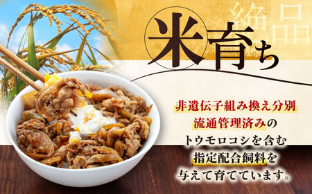 【全6回定期便】平田牧場 切り落とし 3kg (500g×6P)  豚肉 切り落とし 小分け [AJAP040]