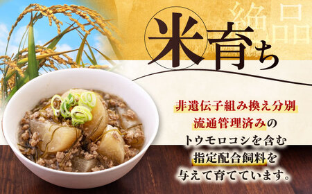 【全6回定期便】平田牧場 4種 セット 豚肉 詰め合わせ セット[AJAP052]