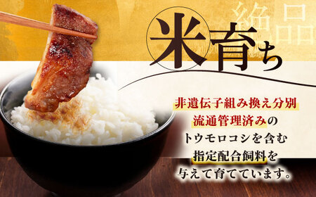 【全12回定期便】平田牧場 ロース みそ漬け 18枚 (3枚×6P) 豚肉 ロース 小分け [AJAP065]