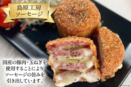 AI066 特大！ ソーセージ 2種2本 食べ比べ セット（島原ハムポークソーセージ800g×1本 島原工房ソーセージ770g×1本） [長崎県 島原市]