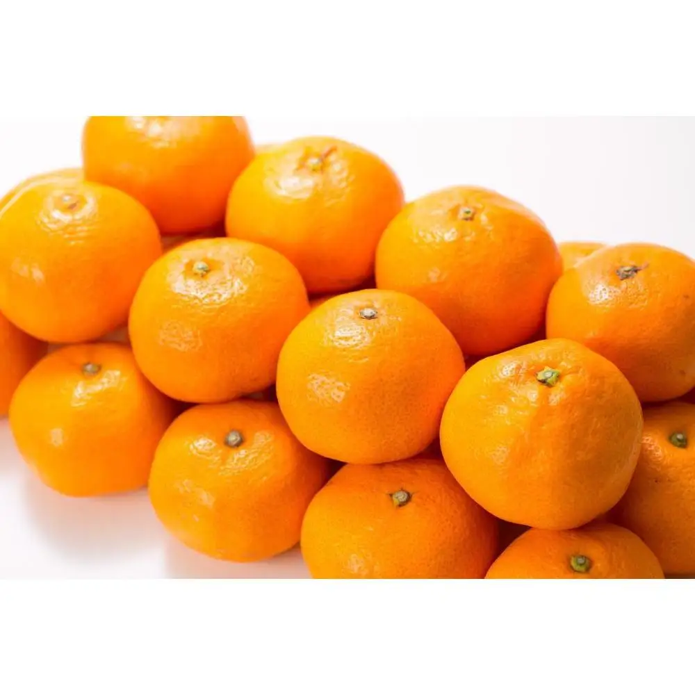 ブランド有田みかん［Ｌサイズ］秀品10kg／産地直送／薄皮で甘い美味しい和歌山県産／紀伊国屋文左衛門本舗