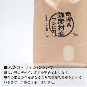 コシヒカリ 精米 10kg 弥彦村 石井農園 白米 | コシヒカリ 新潟県 令和7年産