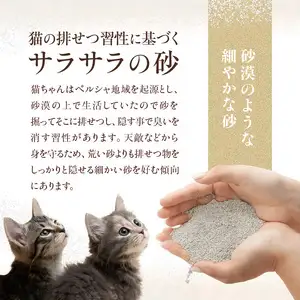 RAGDOLLプレミアムサンド猫砂5kg×2袋(10kg) 猫砂 国産 天然素材 環境に優しい 049-001   