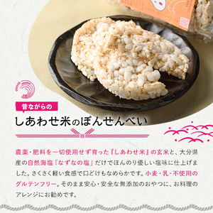 しあわせ米のぽんせんべい(6個)せんべい 玄米 なずなの塩 お菓子 おやつ【101000902】【宇佐本百姓】